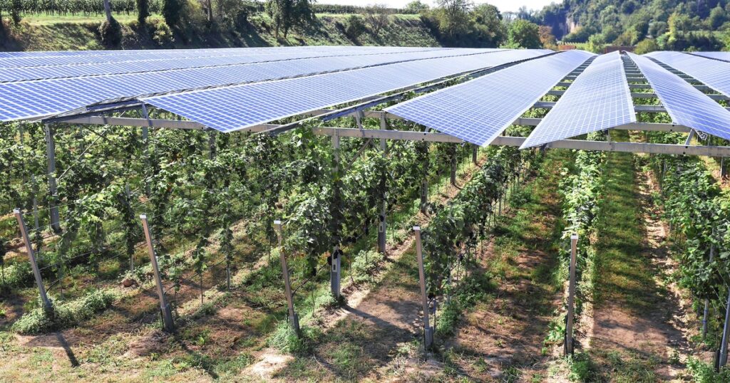 Agrivoltaïsme