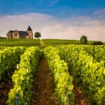 Vignoble en rangs devant une maison de maître : le prix des vignes recule en 2025 selon la Safer