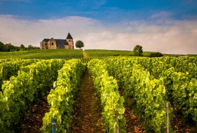 Vignoble en rangs devant une maison de maître : le prix des vignes recule en 2025 selon la Safer